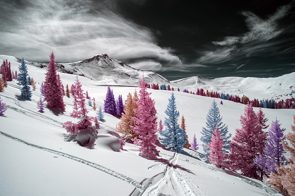 Union Meadows rainbow trees IR